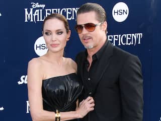 Brad Pitt zegt dat Angelina Jolie aandeel in wijngaard verkoopt uit kwade opzet