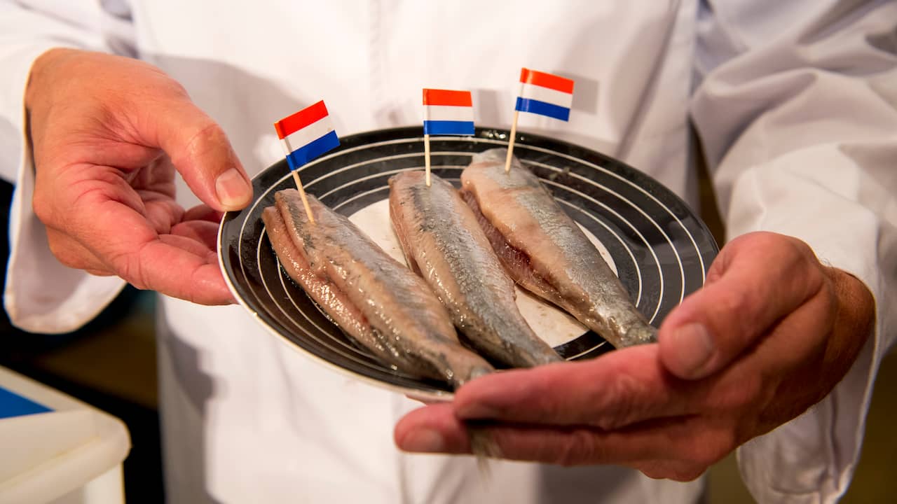 Ster hoed dramatisch Zo combineer je haring: uitje bij de vis is 'barbaars' | Eten en drinken |  NU.nl