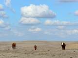 Achtergrond: Wetenschappers en hun strijd tegen klimaatscepticus Trump