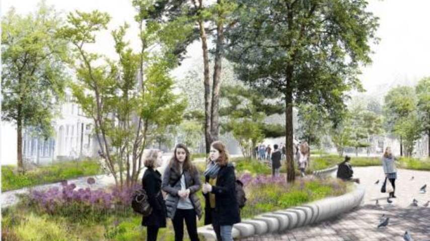 Gemeente Groningen krijgt 1 miljoen euro voor vergroening Damsterplein