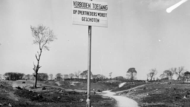 1945: De Scheveningse Bosjes zijn in de zoektocht naar brandhout bijna volledig gekapt.