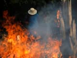 Wat is de oorzaak van de bosbranden in het Amazoneregenwoud?