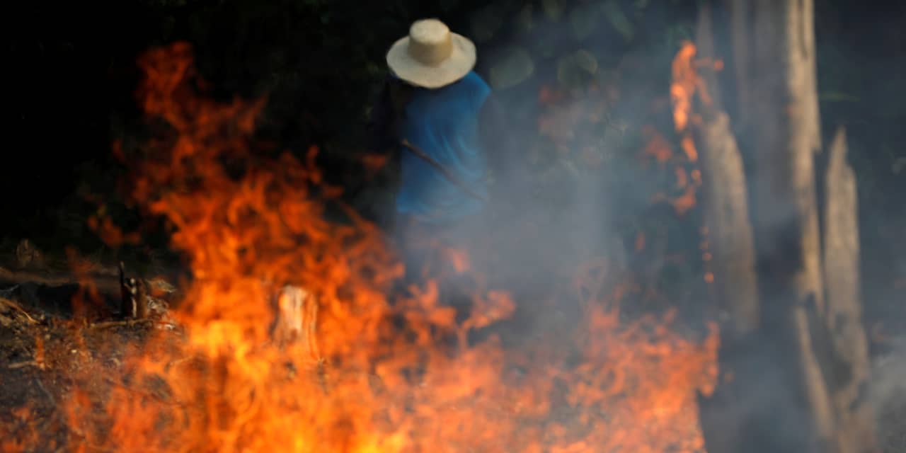Wat is de oorzaak van de bosbranden in het Amazoneregenwoud?