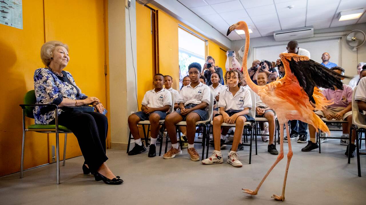Beeld uit video: Prinses Beatrix deelt liefde voor vogels tijdens bezoek Curaçao