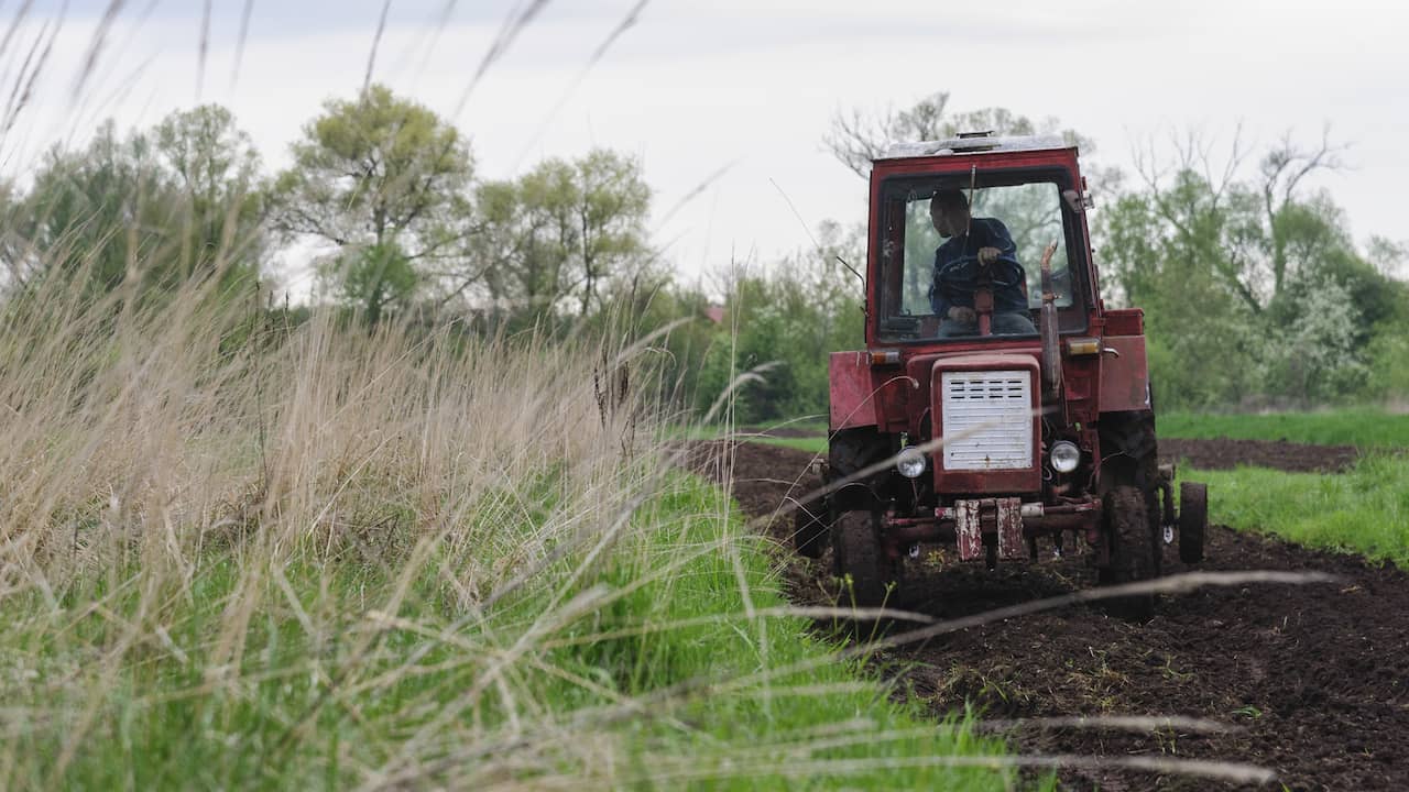 Blockade Ukrainian grain and wheat sharpens food market |  NOW