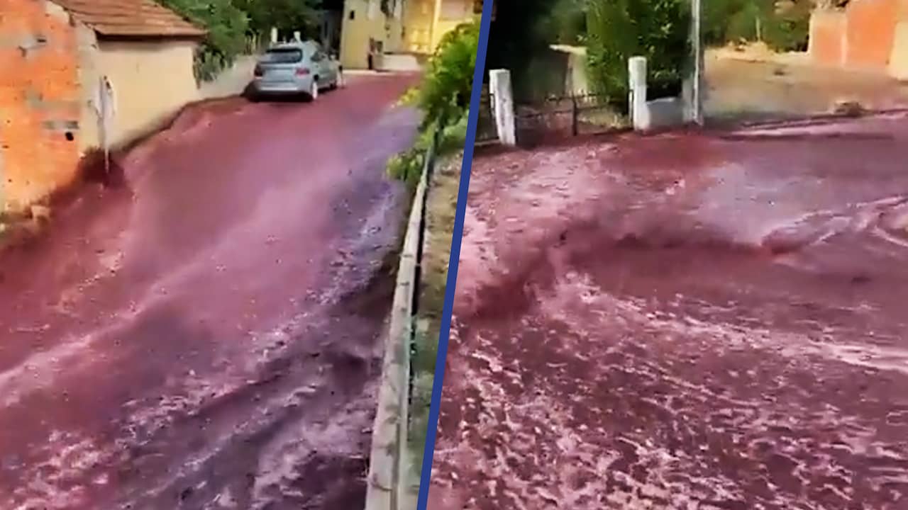 Beeld uit video: 2,2 miljoen liter rode wijn stroomt door Portugees dorp