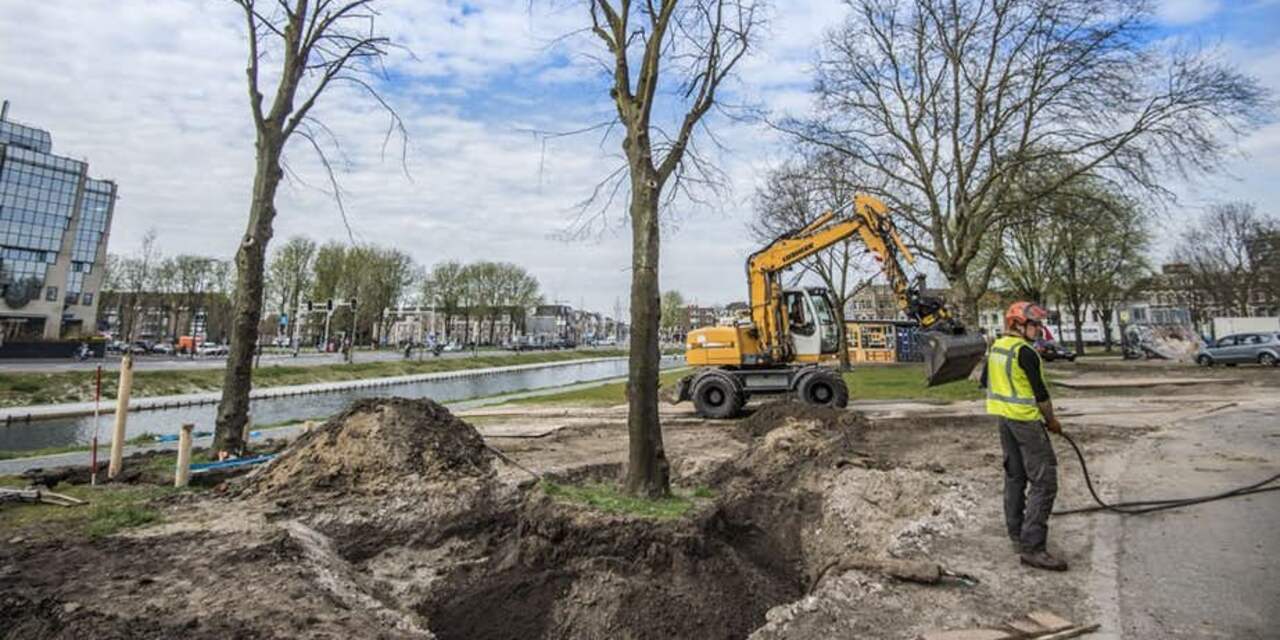 Bijzondere boomverplanting op nieuw Paardenveldpark in Utrecht