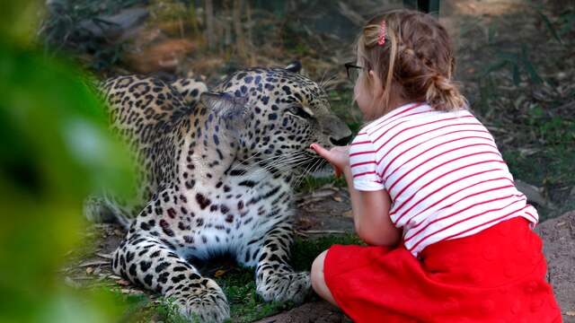 Dit is Uit met kinderen
