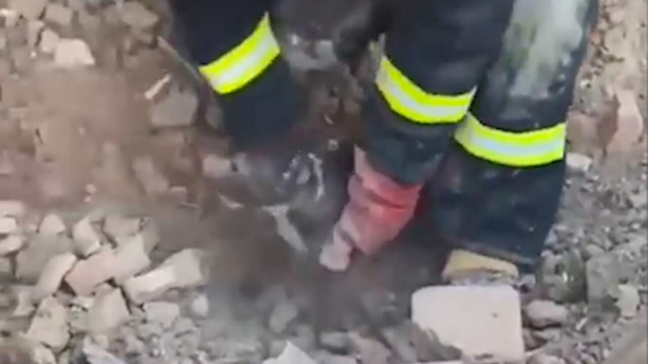 Beeld uit video: Oekraïense hulpdiensten halen puppy onder puin vandaan