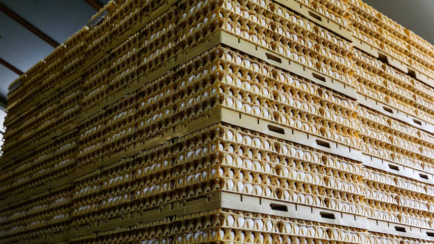 'Schade voor supermarkten als gevolg besmette eieren loopt in miljoenen'
