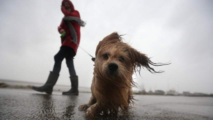 Storm Eunice kan vrijdag mogelijk (zeer) zwaar worden: 'Heviger dan Ciara'