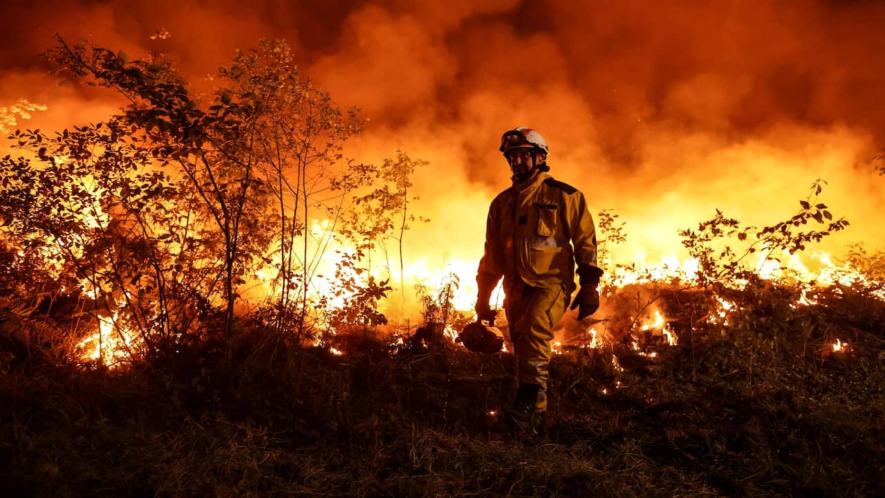 Forest fires in Europe cause the highest emissions in fifteen years |  weather