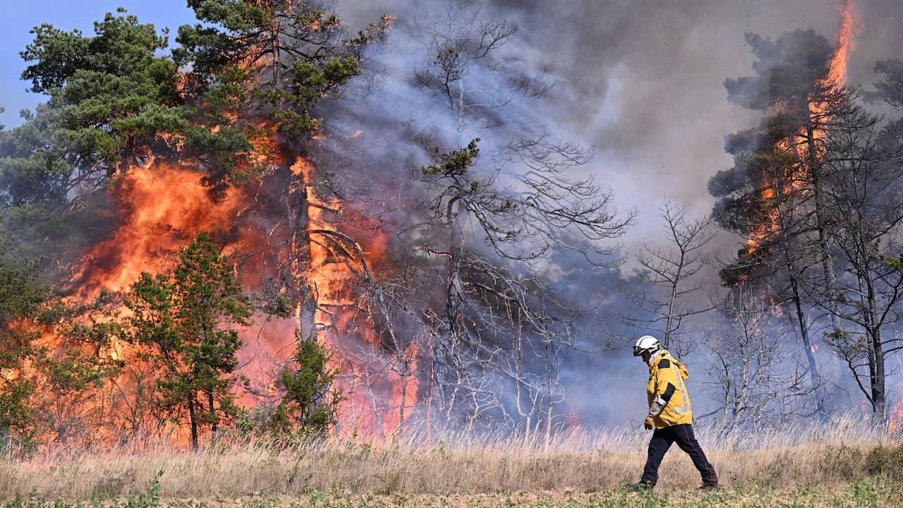Feuerwehrleute aus sieben Ländern helfen Frankreich bei der Bekämpfung von Waldbränden |  JETZT