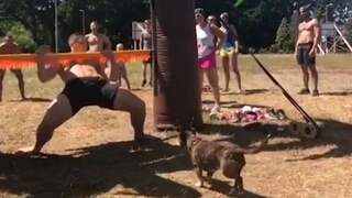 Hond springt in kruis van Rico Verhoeven tijdens limbodansen