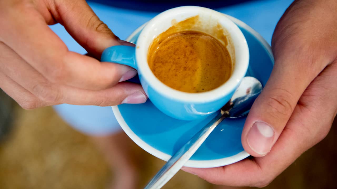 neef Verzakking maag Gematigd drinken van koffie eerder goed dan slecht voor gezondheid' |  Gezondheid | NU.nl