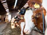 Boeren kritisch op tool voor uitkoopregeling: 'Snap al die flauwekul niet'