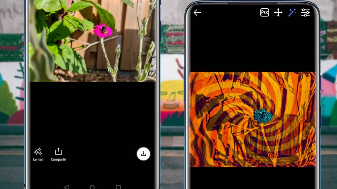Adobe Lightroom accidentally deletes photos permanently after update