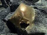 Wetenschappers ontdekken mysterieuze gouden bol op oceaanbodem