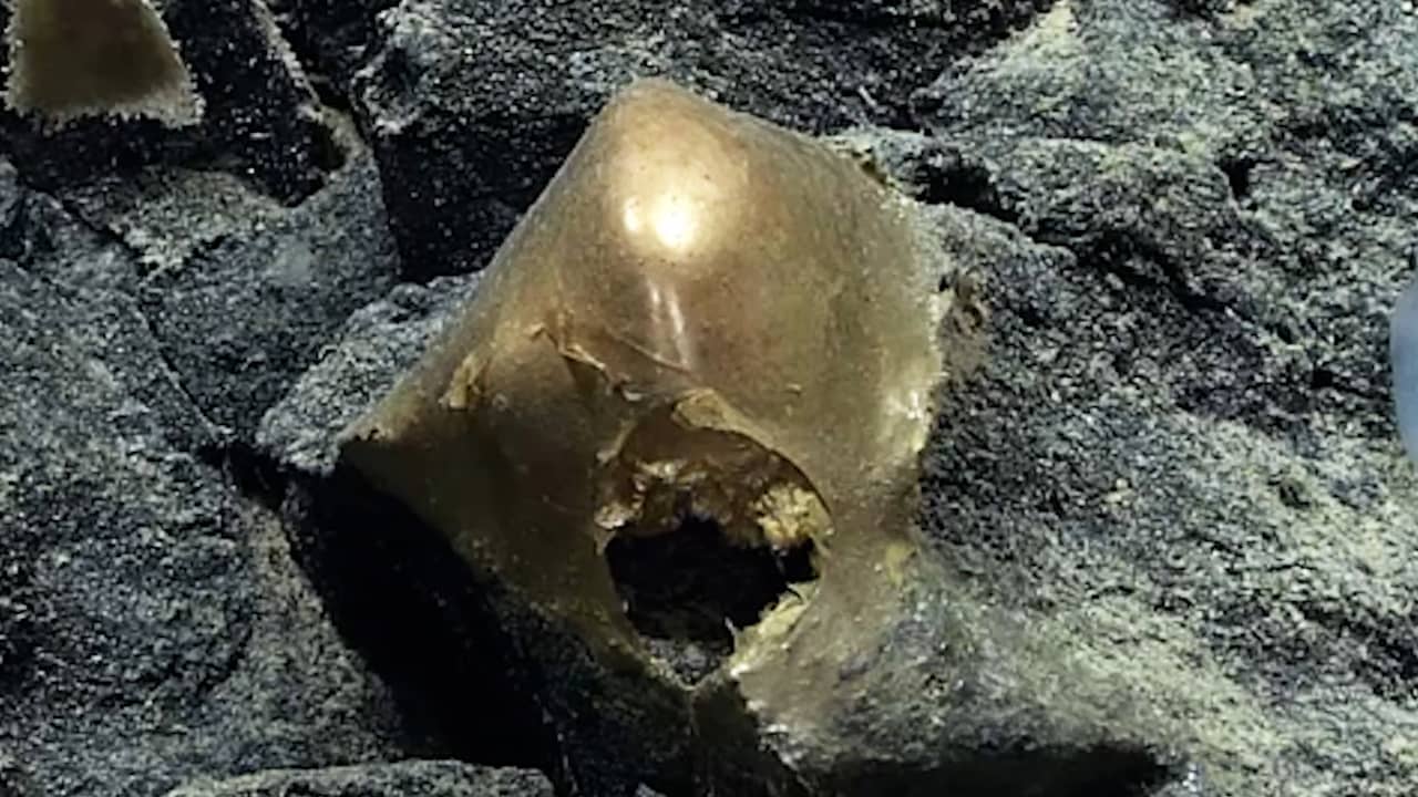 Beeld uit video: Wetenschappers ontdekken mysterieuze gouden bol op oceaanbodem
