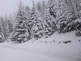 60 centimeter sneeuw op eerste zomerdag in Amerikaanse staat Colorado