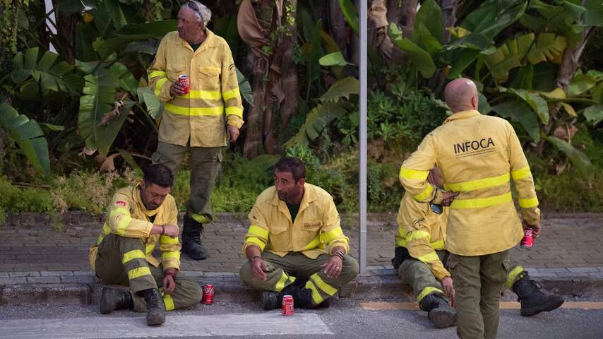 Spaanse brandweer heeft bosbrand Zuid-Spanje onder controle