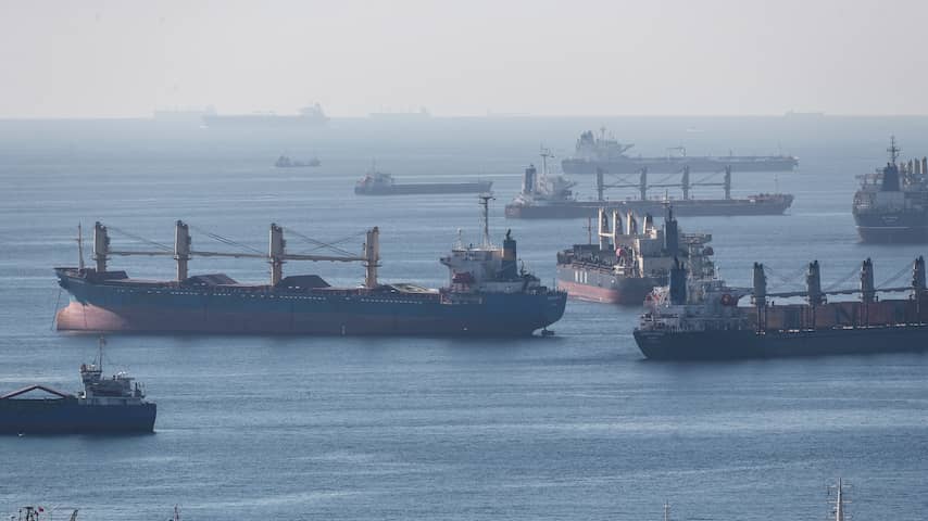 Alsnog twaalf schepen met graan vertrokken uit Oekraïense havens
