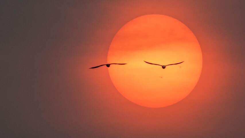Waarom de zon en maan gisteren rood kleurden