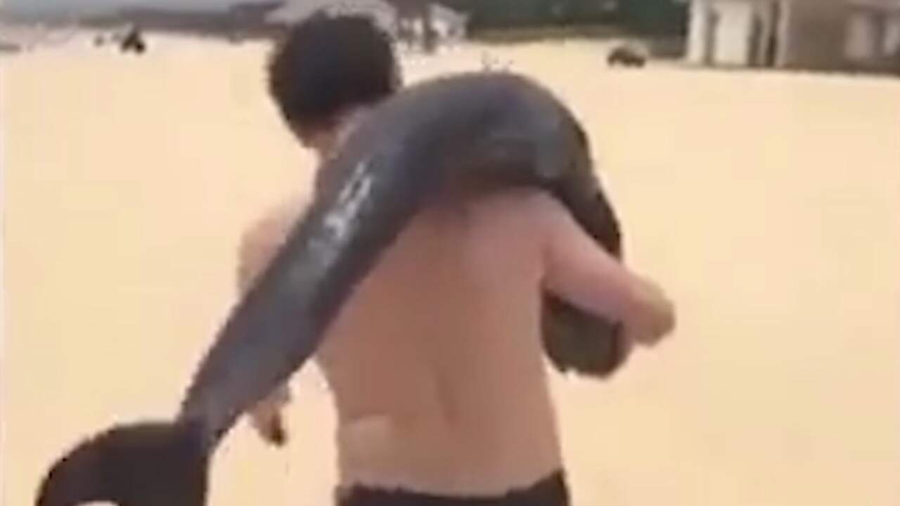 Politie zoekt Chinese man die dolfijn mee naar huis nam NU.nl