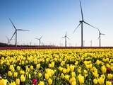 Nederland heeft windenergiedoel uit klimaatakkoord (eindelijk) gehaald