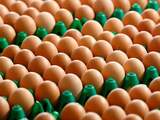 NVWA waarschuwt voor besmette eieren met hoge dosis schadelijke stof