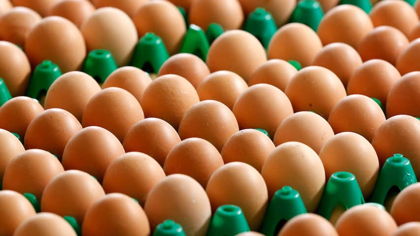 Nederland grootste exporteur eieren binnen Europese Unie