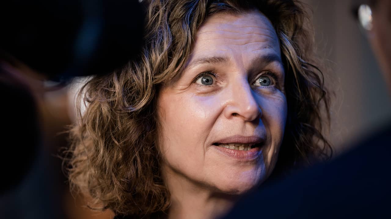 Interview Edith Schippers: ‘I’m in favor of less tax on everything’ |  Politics