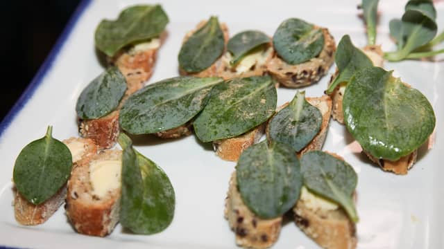 Geroosterde stukjes brood met een blaadje oesterblad voor de zilte smaak.