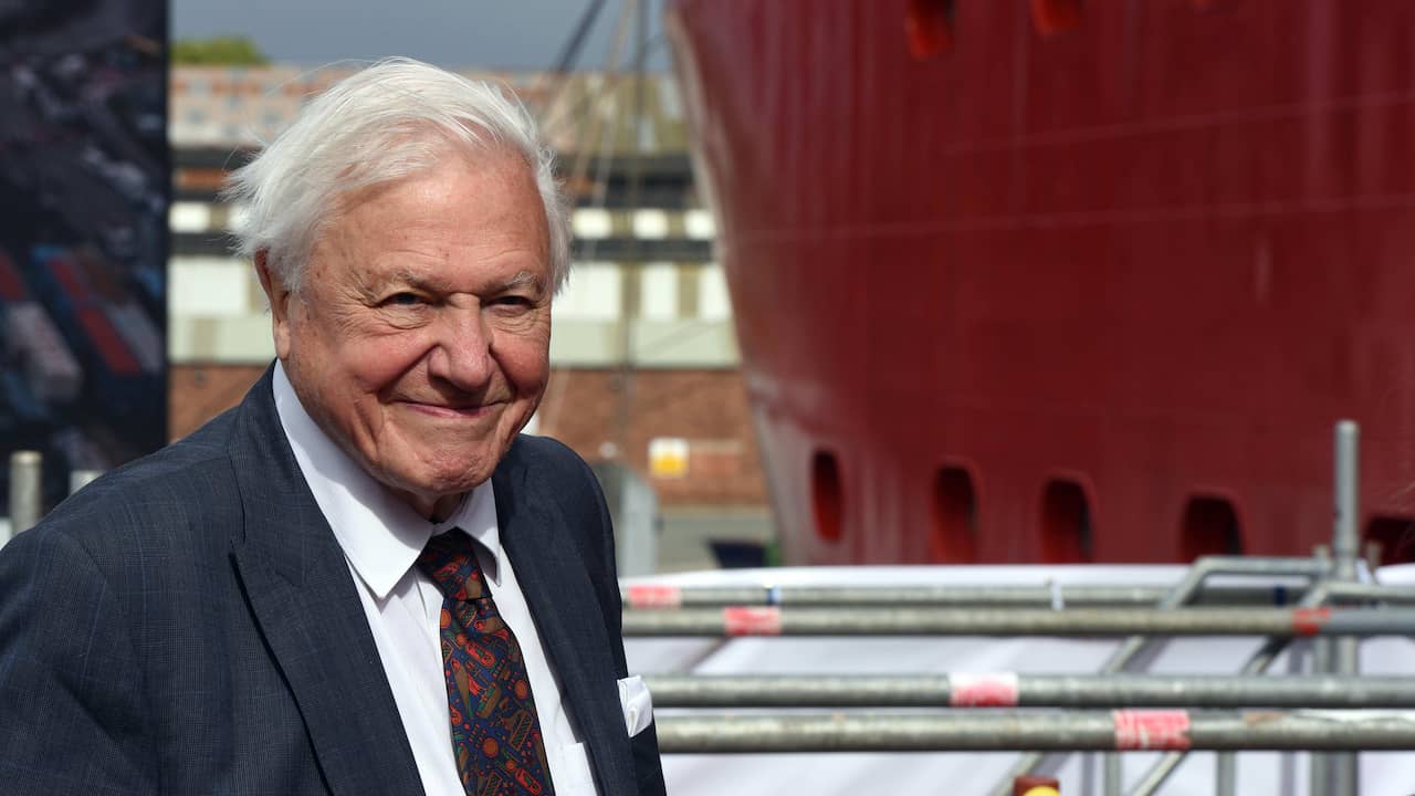 David Attenborough does not return on Instagram: ‘Busy enough with letters’ |  NOW