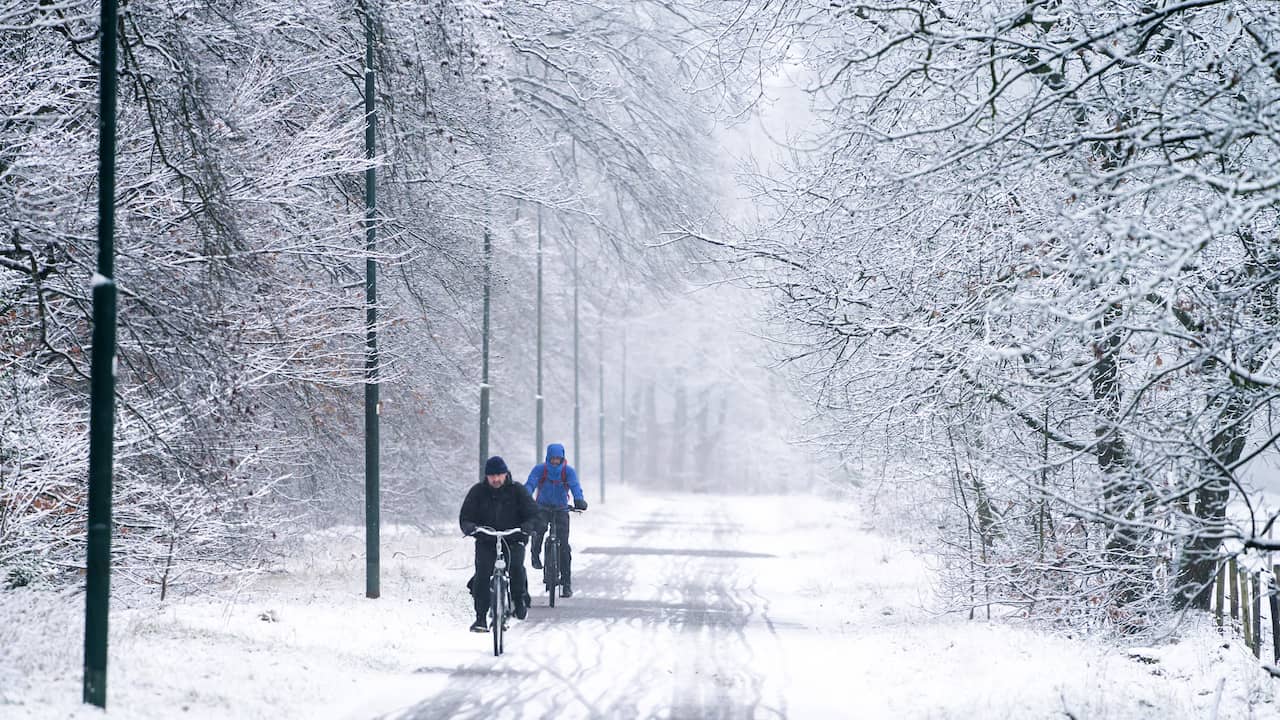 Weather forecast: morning code orange in southeast and yellow in rest of the country |  Interior