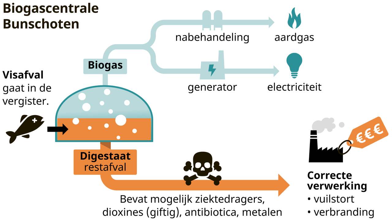 De route van visafval tot energie en vuilstort/verbranding.