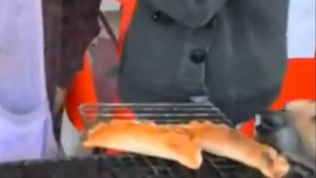 Hond steelt ongemerkt empanada tijdens live televisie-uitzending in Chili