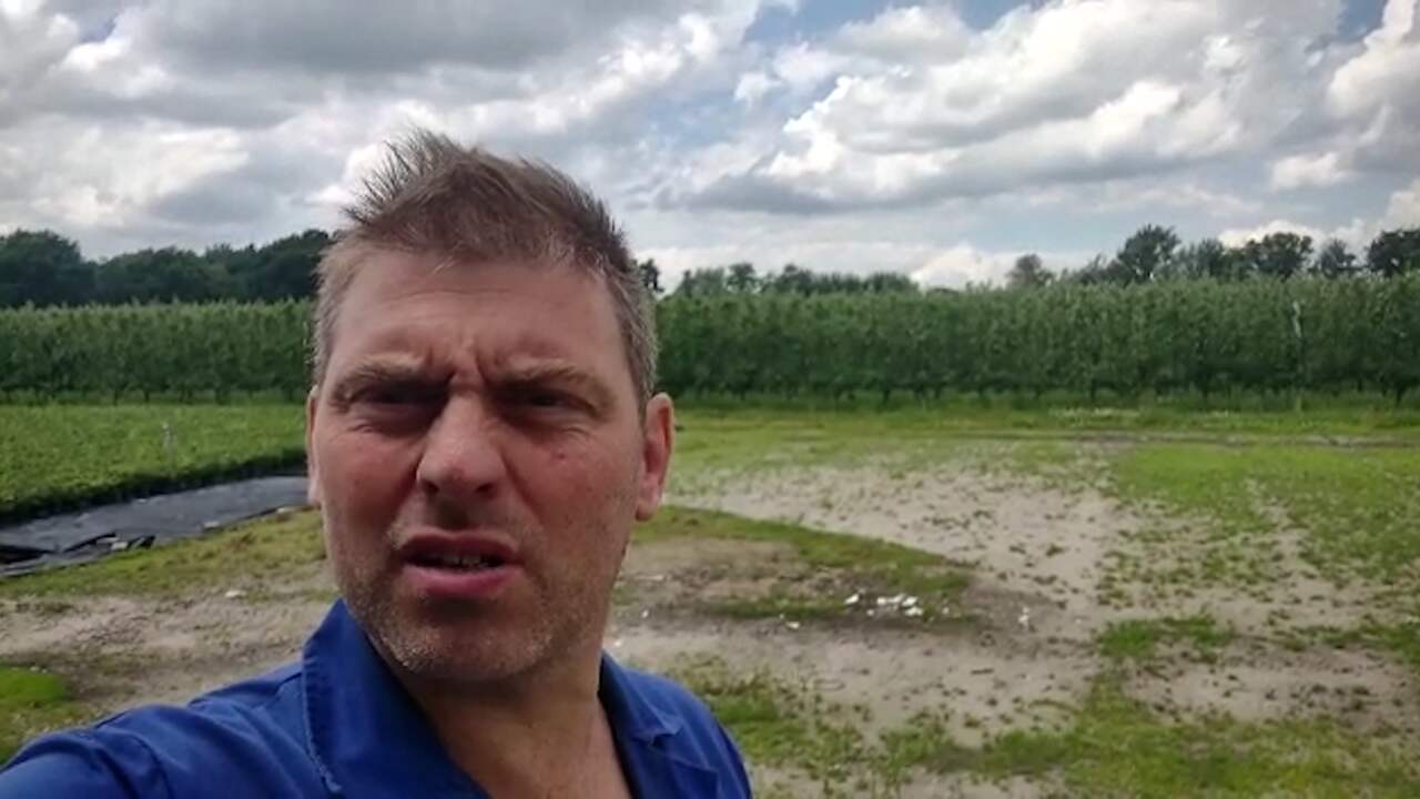 Beeld uit video: Voorman Farmers Defence Force is sceptisch over Remkes