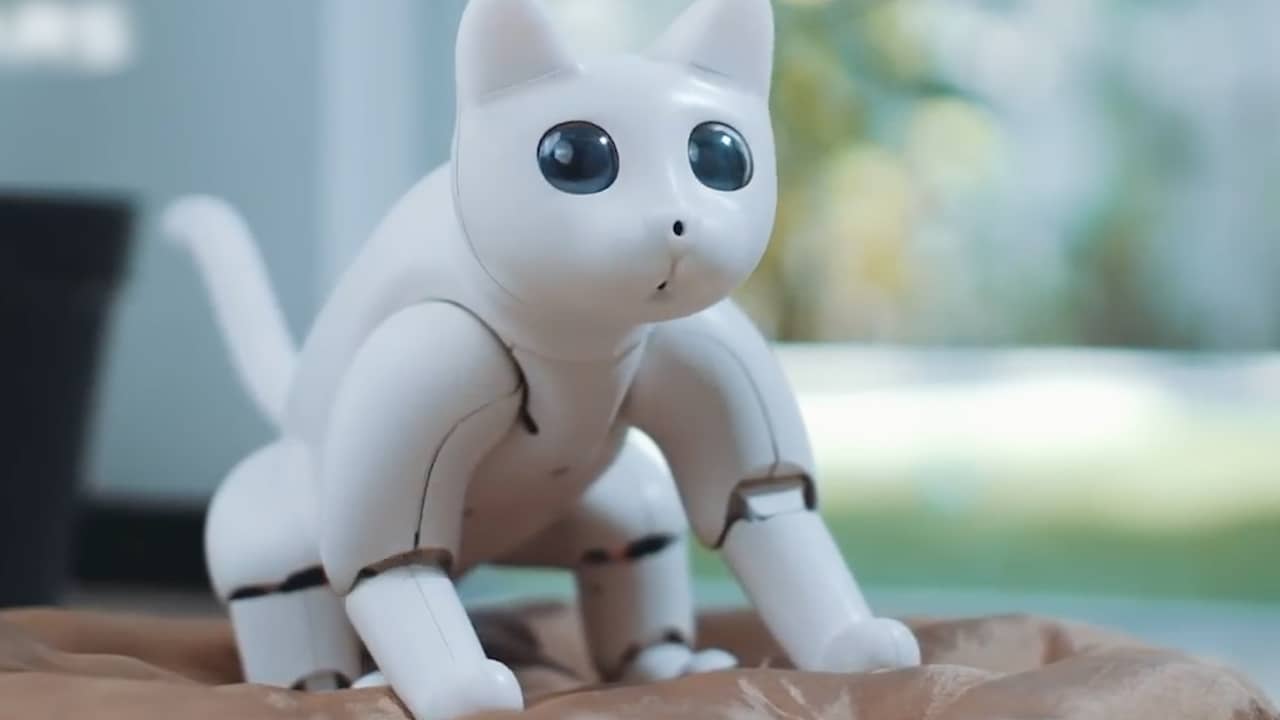 Autonome robotkat 'kan persoonlijkheid ontwikkelen'