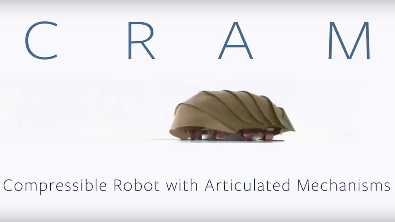 Kakkerlakken inspiratie voor robotontwerper