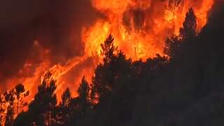 Brand verwoest bijna 10.000 hectare in Spaanse provincie Alicante