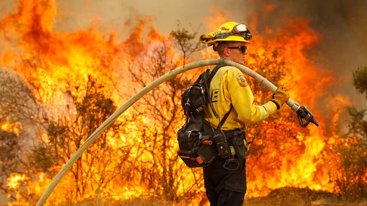 At least six dead in devastating wildfires in western US |  NOW