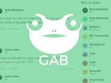 Wat is Gab, het 'sociale medium voor extreemrechts'?