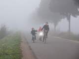 Woensdag 10 oktober: Fietsen door de dichte mist in Zuidoost-Brabant.