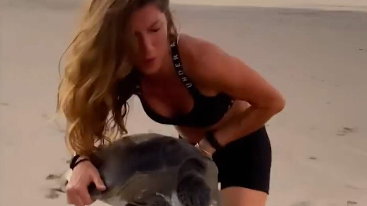 Beeld uit video: Gisele Bündchen redt schildpad uit vissersnet