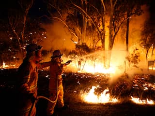 Australisch gebied half zo groot als België geëvacueerd om bosbranden