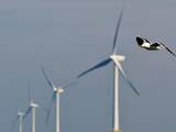 Groen licht van RvS voor groot windpark in IJsselmeer