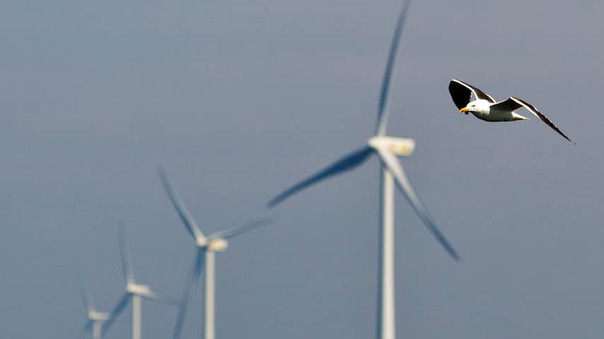 Windmolens, Windenergie, groene energie, Offshore windenergie, 