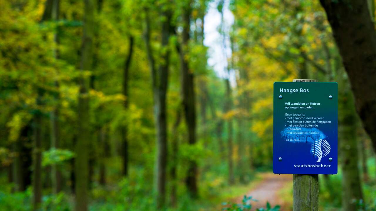 Wandelpad in Haagse Bos veranderd naar fietspad