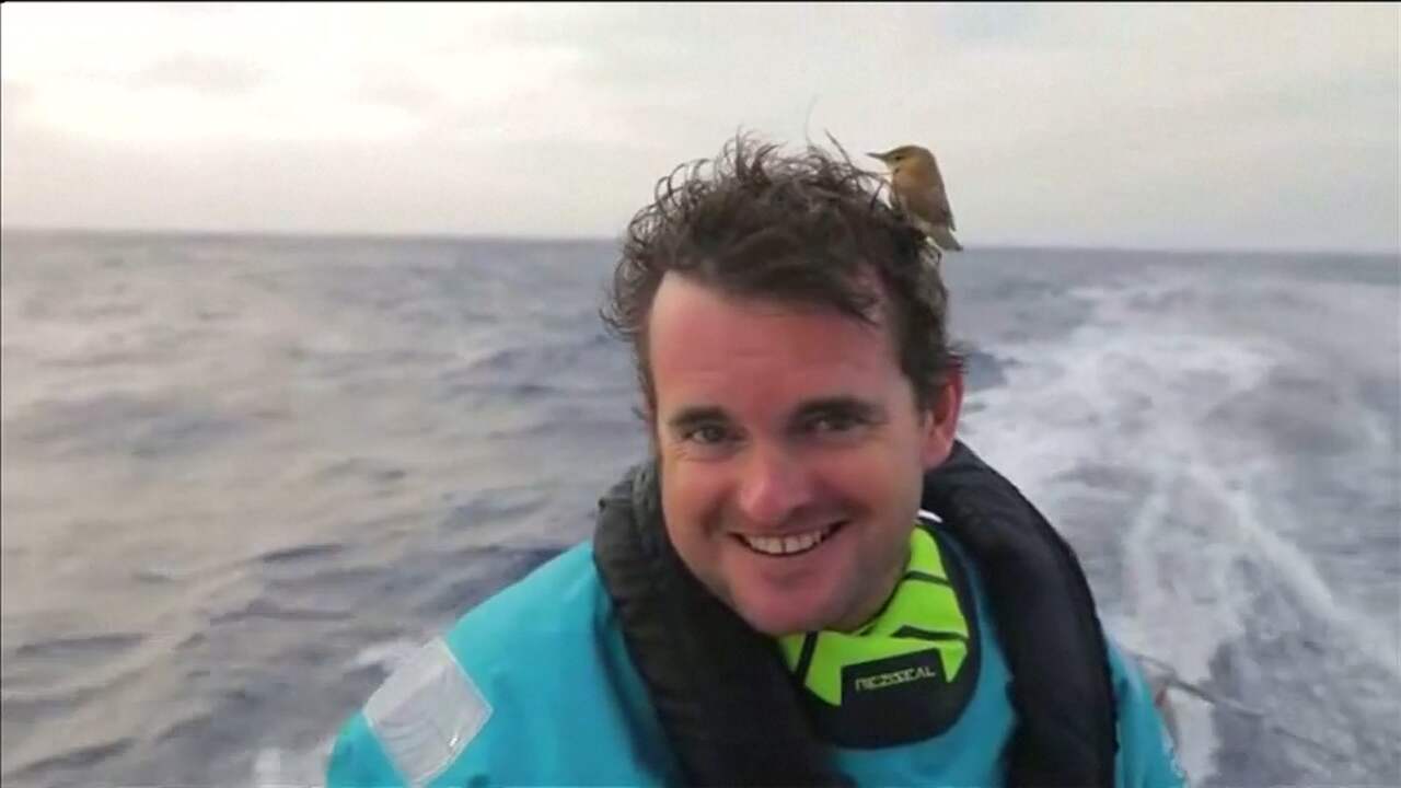 Beeld uit video: Vogel lift mee op hoofd bemanningslid in Volvo Ocean Race